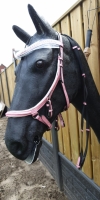 CS Horse and Design Glitter Hoofdstel Special - Pink