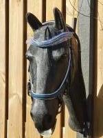 CS Horse and Design Glitter Hoofdstel Special - Petrol