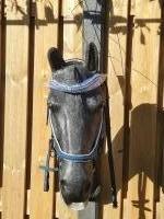 CS Horse and Design Glitter Hoofdstel Special - Petrol