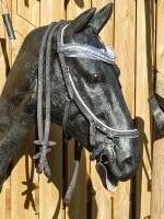 CS Horse and Design Glitter Hoofdstel Special - Grey