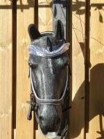 CS Horse and Design Glitter Hoofdstel Special - Grey