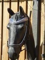 CS Horse and Design Glitter Hoofdstel Special - Grey