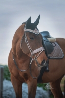 CS Horse and Design Glitter Hoofdstel - Multi