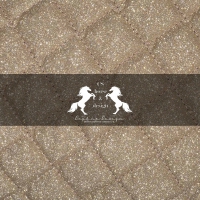 CS Horse and Design Glitter Sporenriempjes - Gold