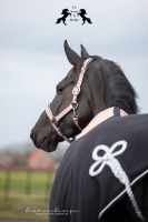 CS Horse and Design Glitter Fleece Deken &ndash; Sultan