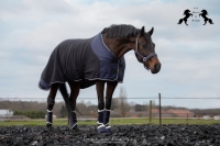 CS Horse and Design Glitter Fleece Deken &ndash; Navy