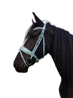 Glitter hoofdstel met teugels light blue